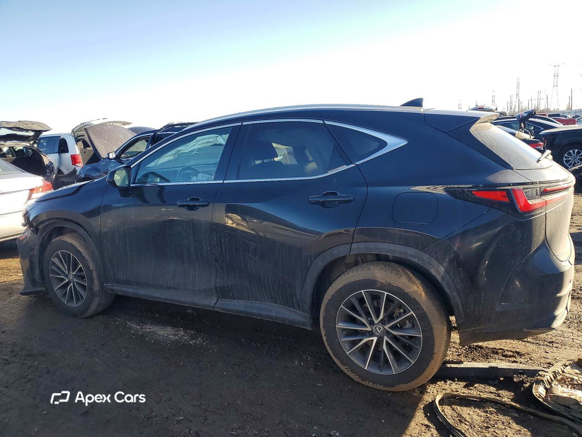Lexus NX 2025