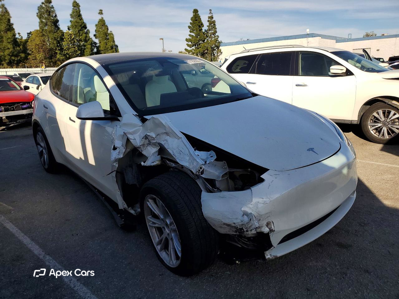 Tesla Model Y 2024