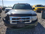 Ford Escape 2010