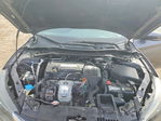 Honda Accord 2013