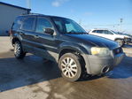 Ford Escape 2005