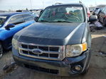 Ford Escape 2008