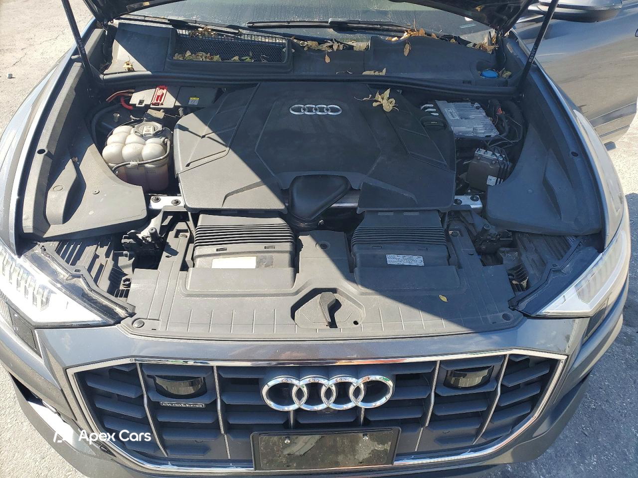 Audi Q8 2021