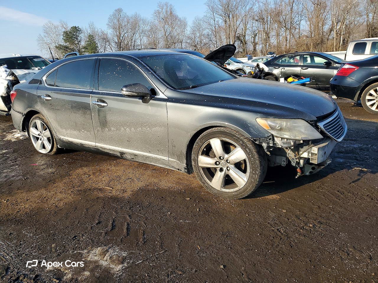 Lexus LS 2010
