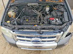 Ford Escape 2011