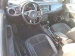 Volkswagen Beetle 2014