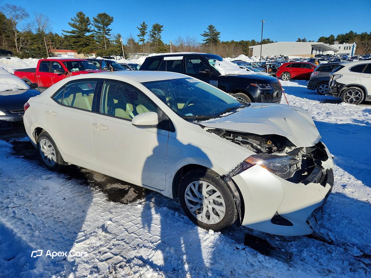 Toyota Corolla 2019