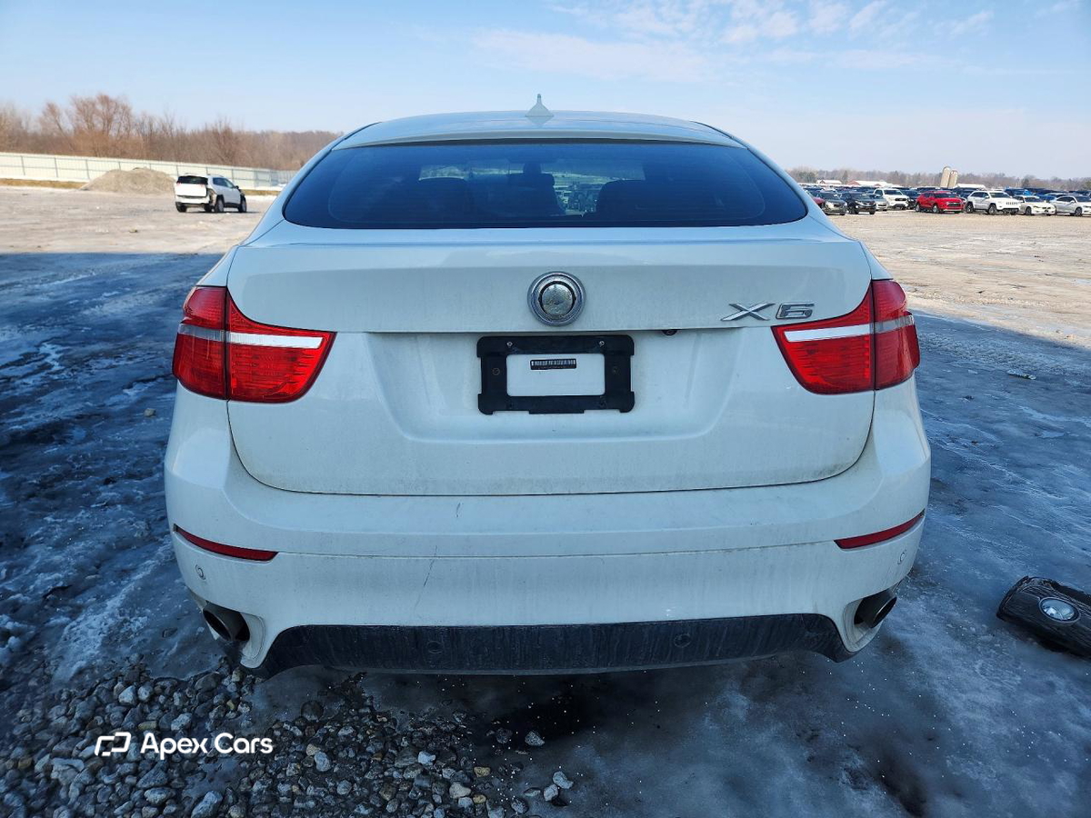 BMW X6 2010
