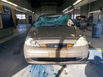 Ford Focus 2004