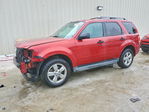 Ford Escape 2012