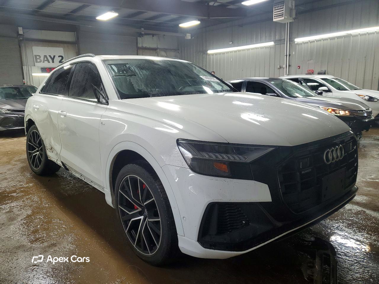 Audi Q8 2019