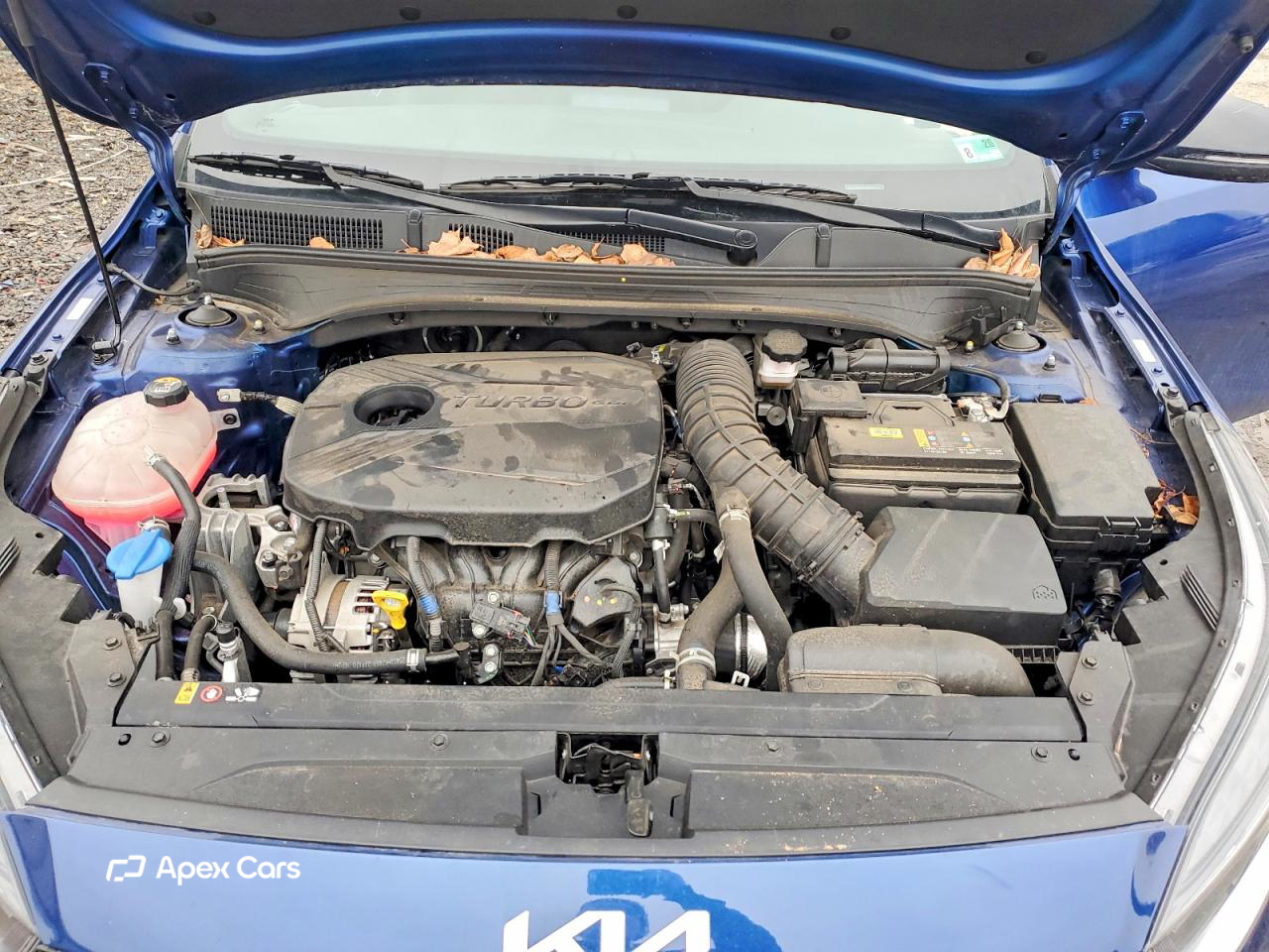 Kia Forte 2024