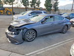 Lexus ES 2020
