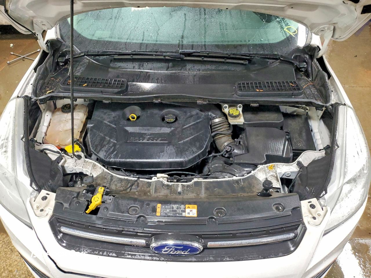 Ford Escape 2014
