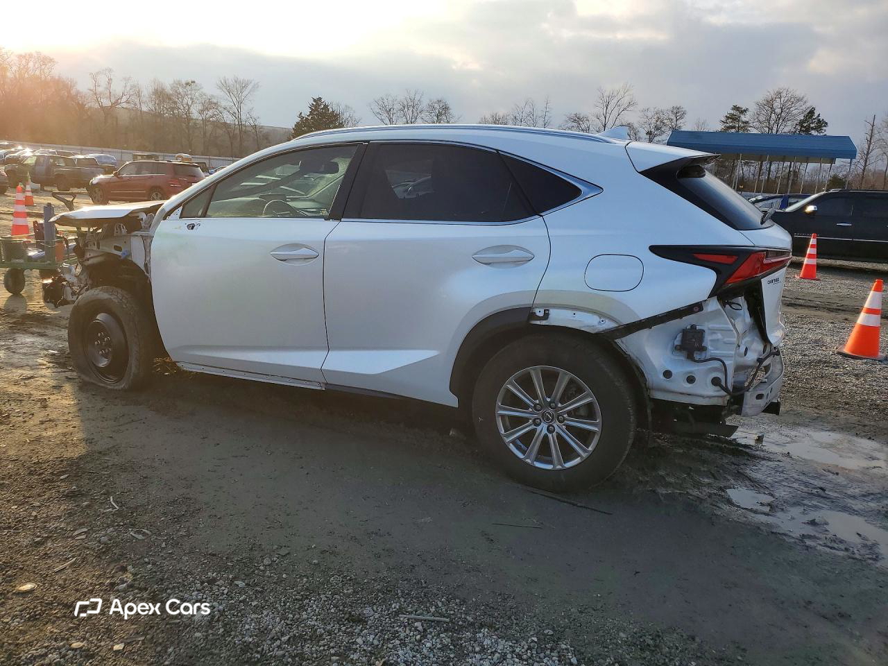 Lexus NX 2019