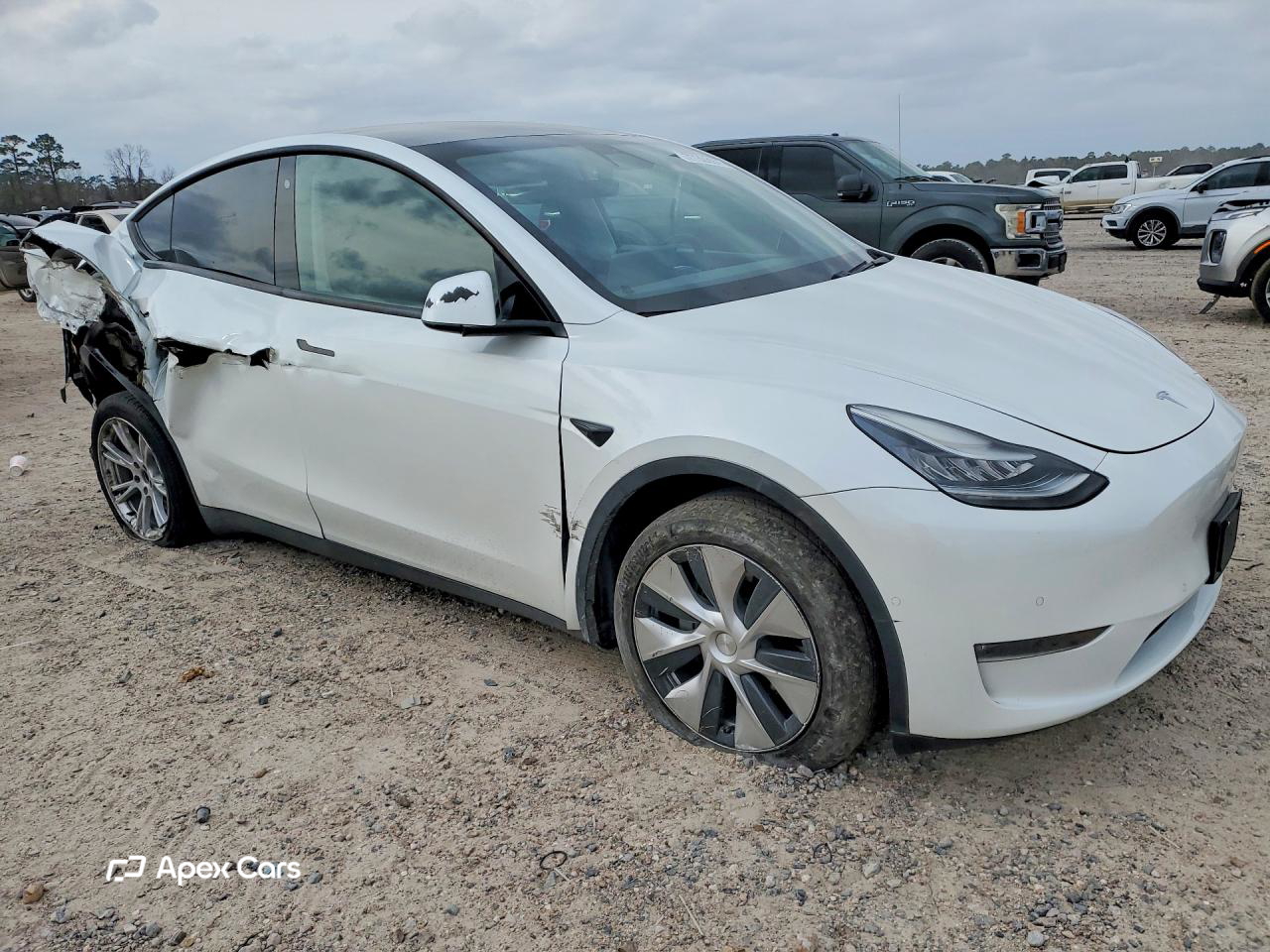 Tesla Model Y 2020