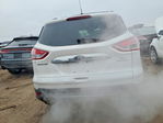 Ford Escape 2013