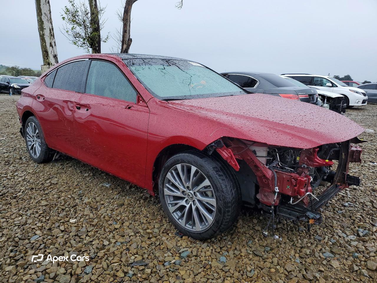 Lexus ES 2019