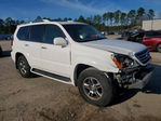 Lexus GX 2008