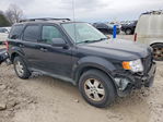 Ford Escape 2012