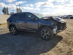 Toyota RAV 4 2023