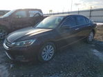 Honda Accord 2013