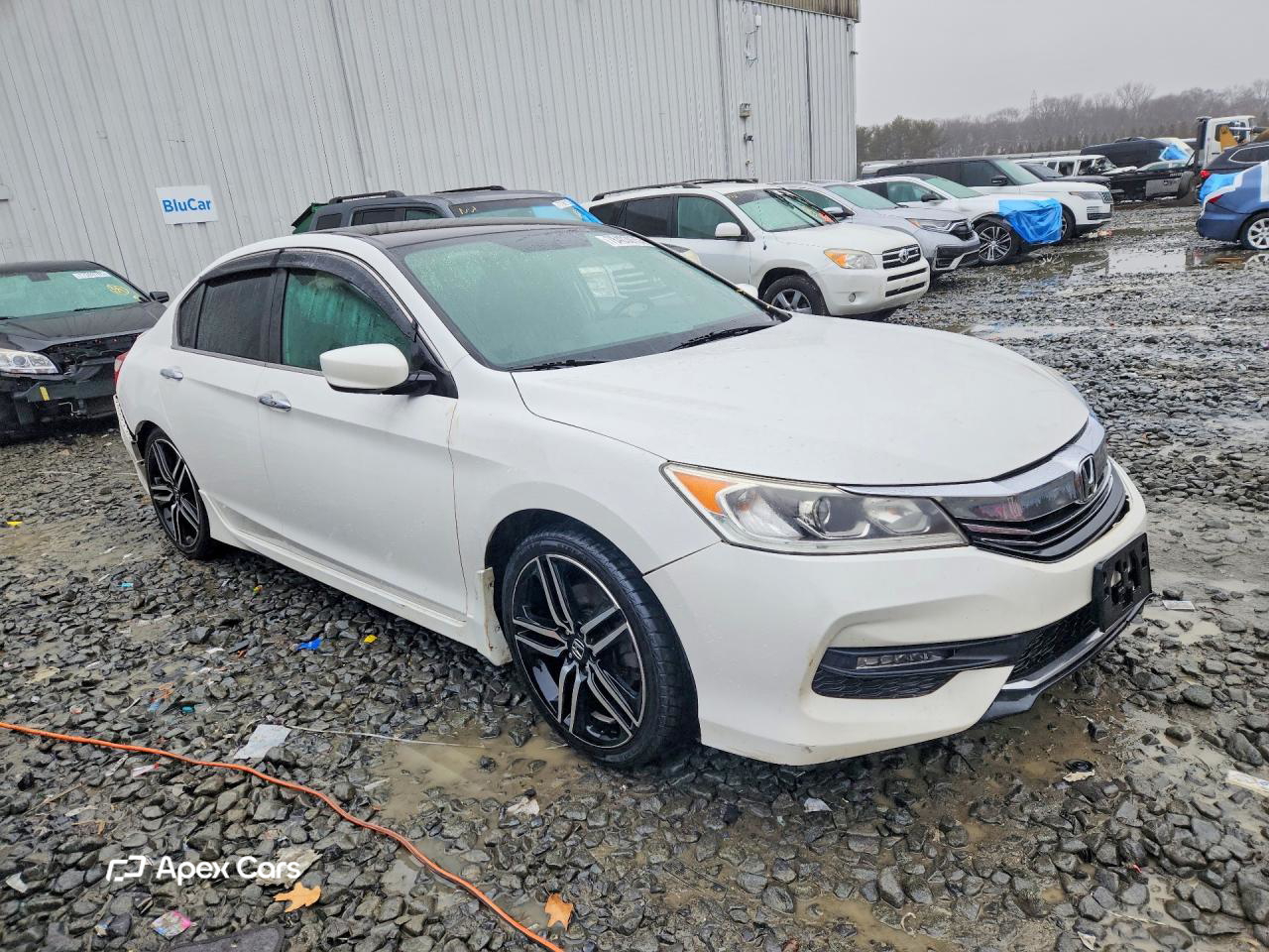 Honda Accord 2017