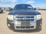 Ford Escape 2011