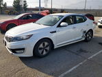 Kia Optima 2013