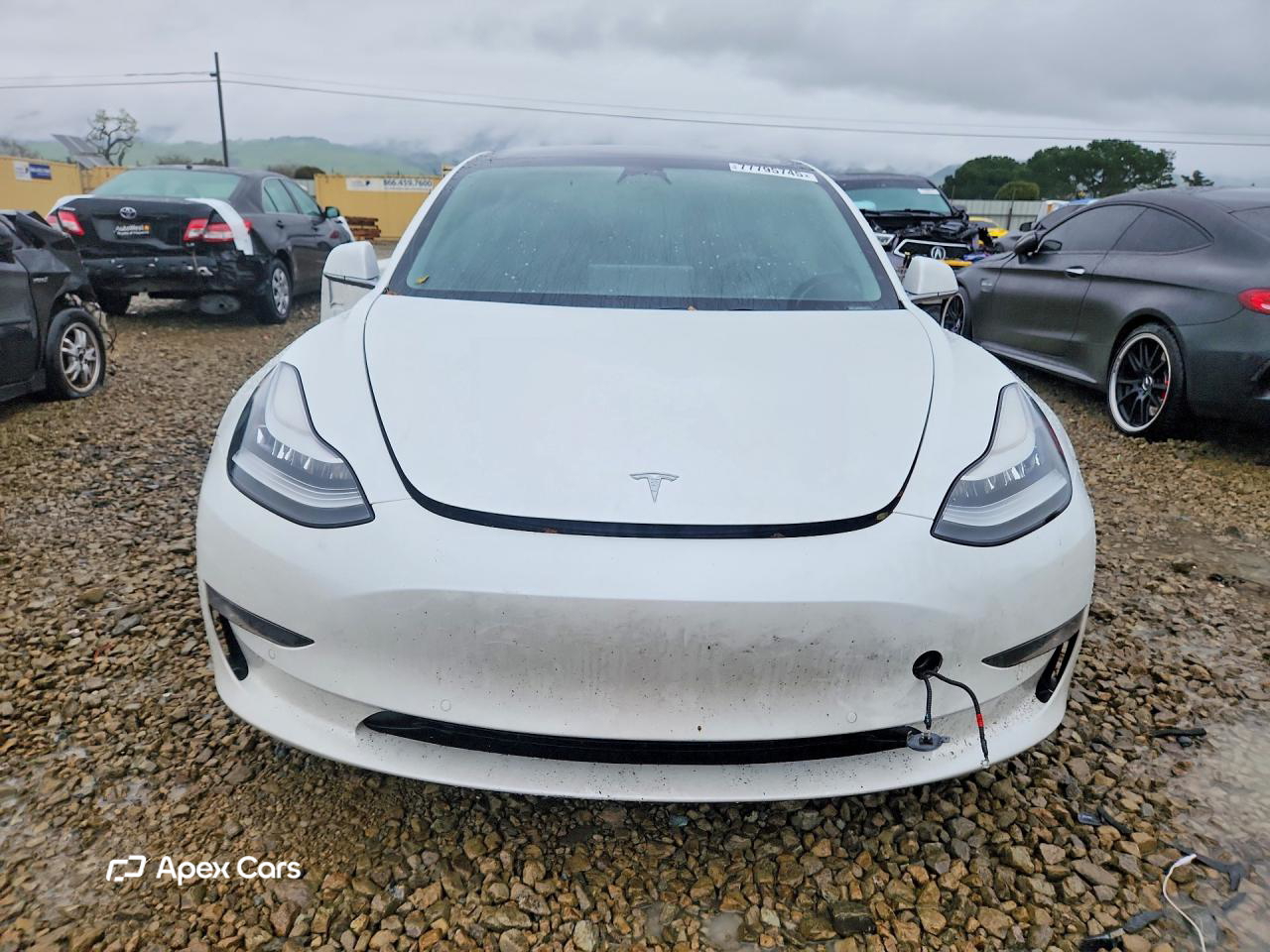 Tesla Model 3 2020