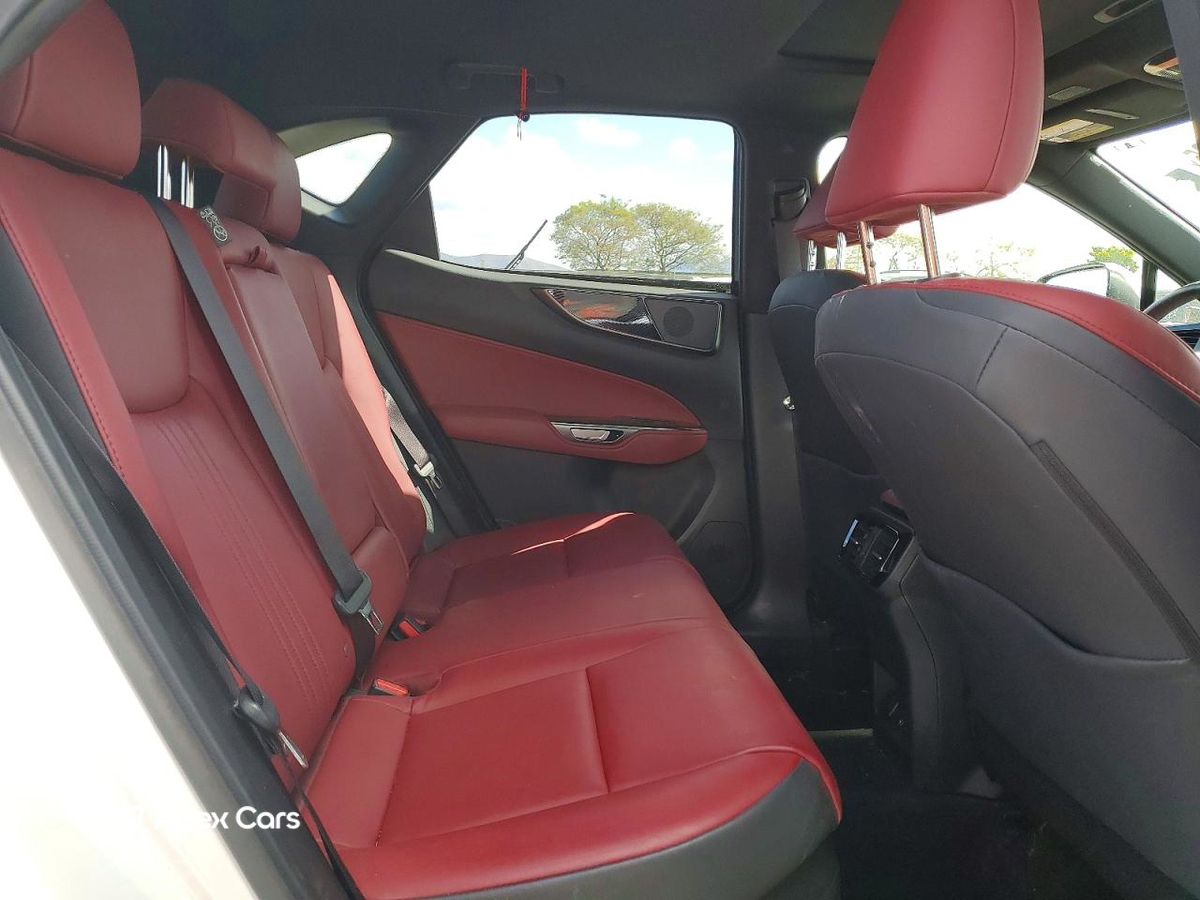 Lexus NX 2024