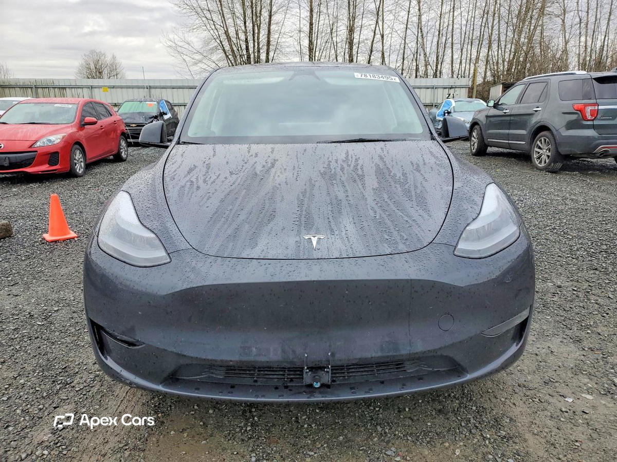 Tesla Model Y 2025