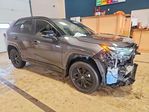 Toyota RAV 4 2024