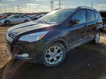 Ford Escape 2014