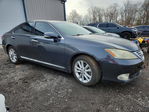 Lexus ES 2010