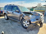 Ford Escape 2011