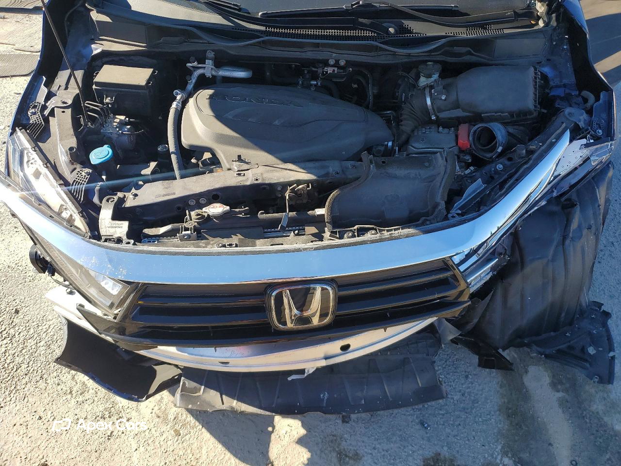 Honda Odyssey 2024