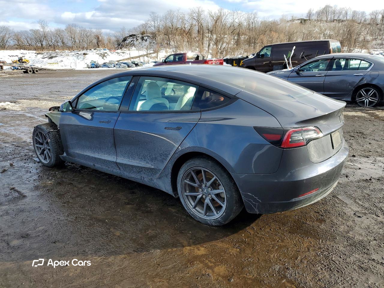 Tesla Model 3 2020