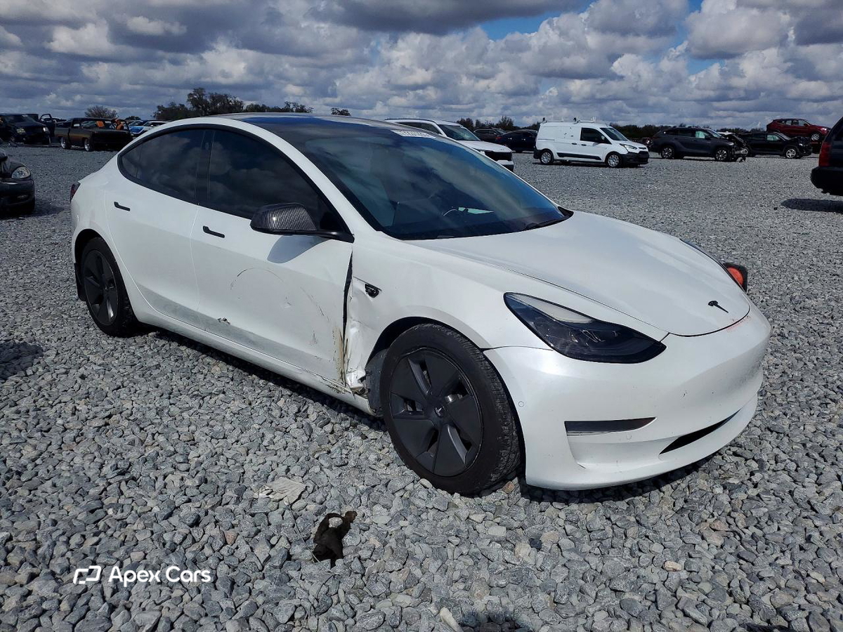 Tesla Model 3 2021