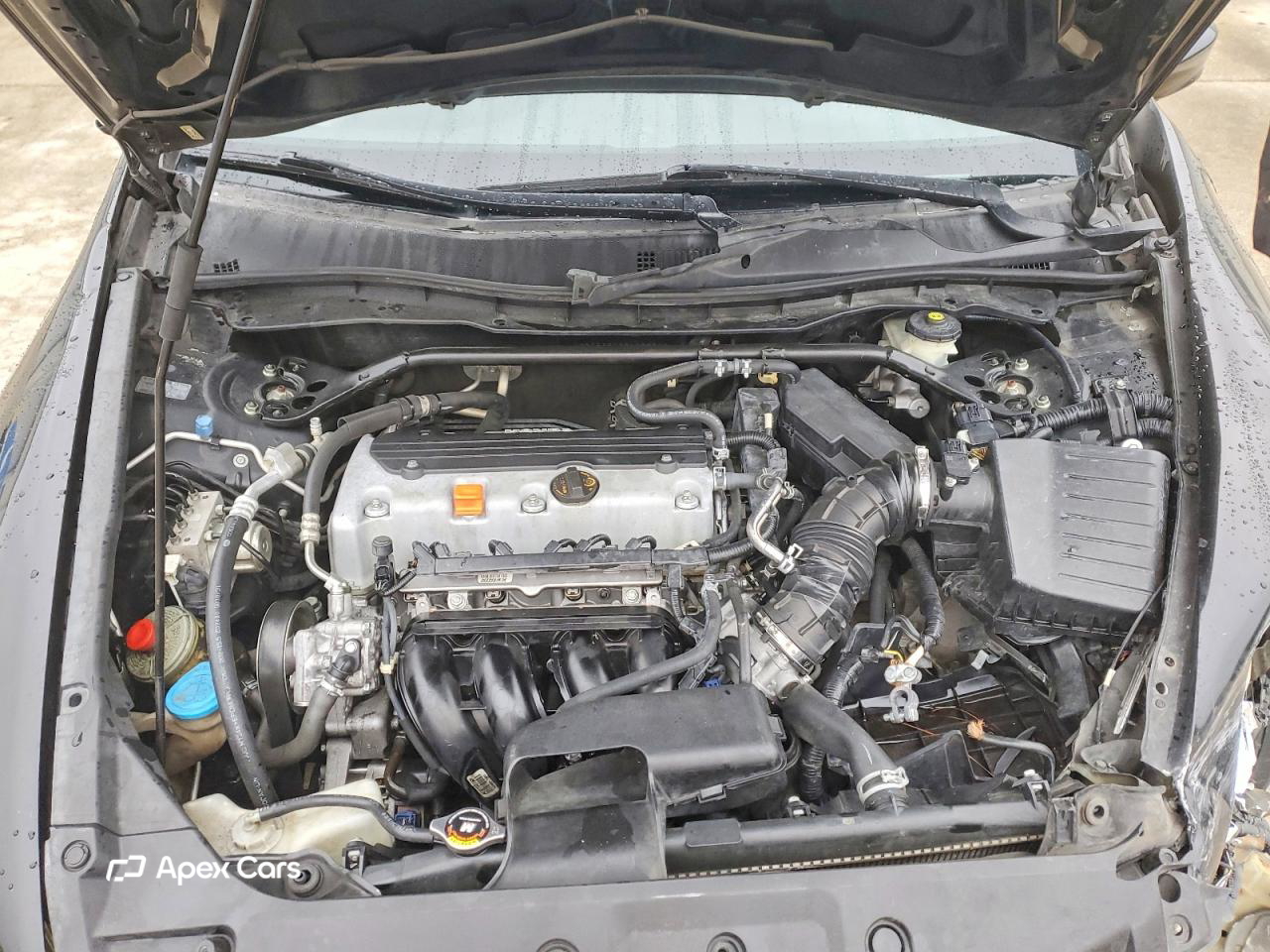 Honda Accord 2011