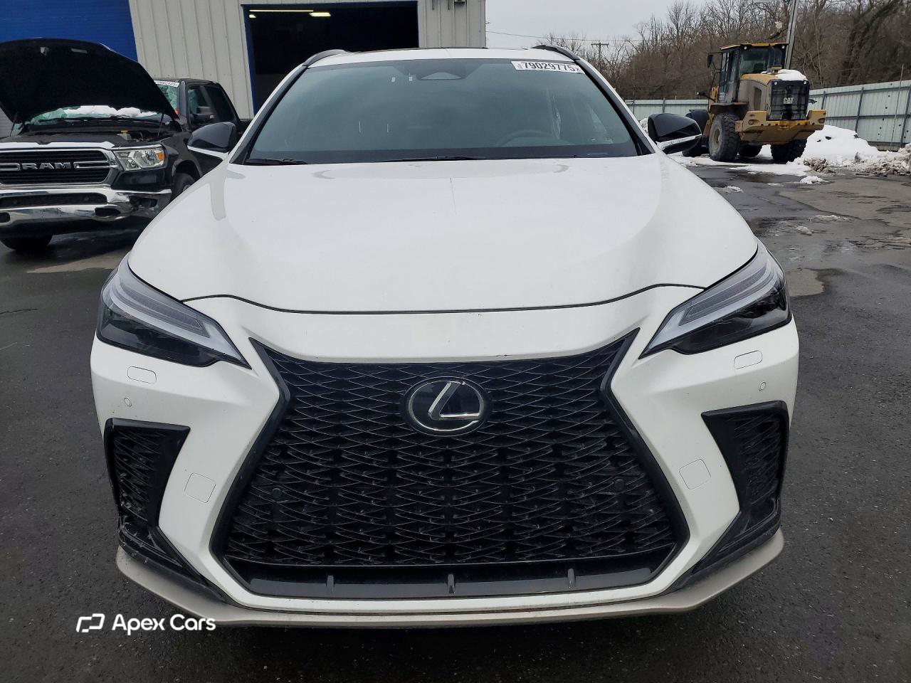 Lexus NX 2025