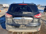 Ford Escape 2016