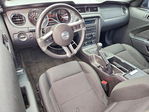 Ford Mustang 2013
