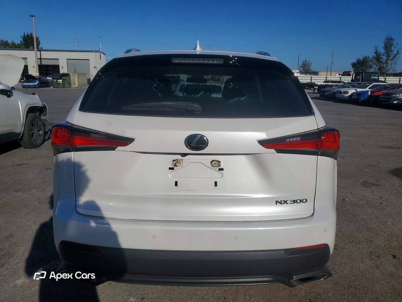 Lexus NX 2020