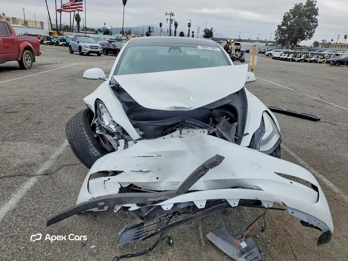 Tesla Model 3 2019