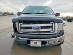 Ford F-150 2013