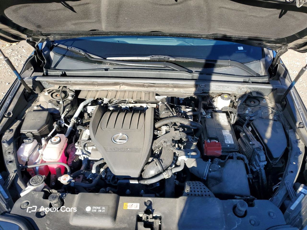 Lexus NX 2024