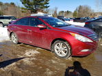 Hyundai Sonata 2011