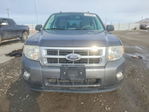 Ford Escape 2012