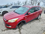 Ford Escape 2014